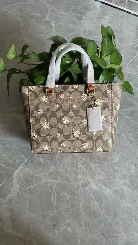 Luxurious-Totes - CCH Bags - 273