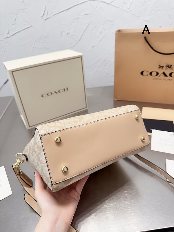Luxurious Totes - CCH2 Bags - 055