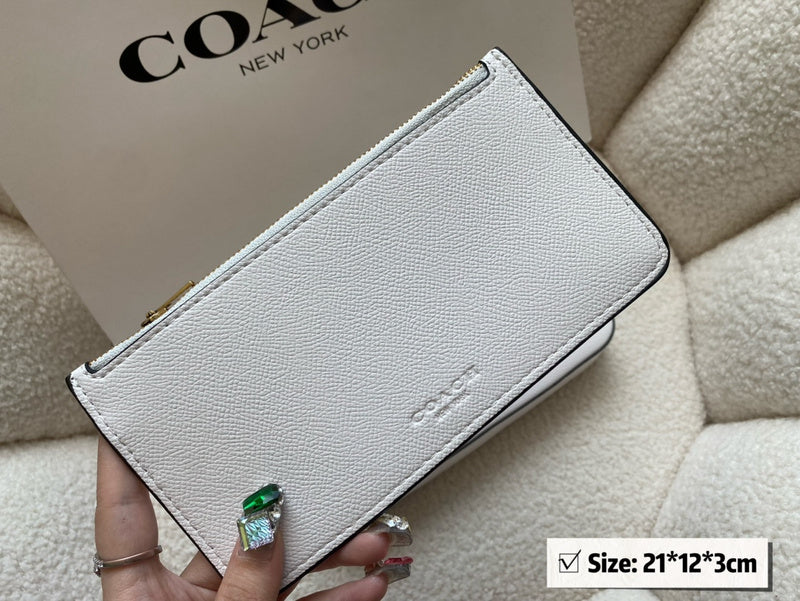 Luxurious Totes - CCH2 Bags - 067