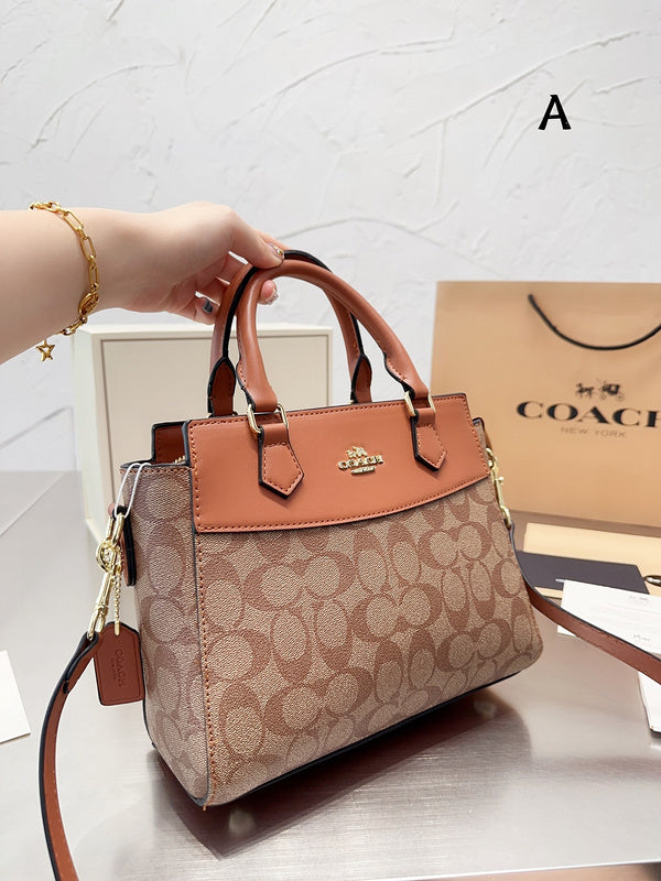 Luxurious Totes - CCH2 Bags - 054